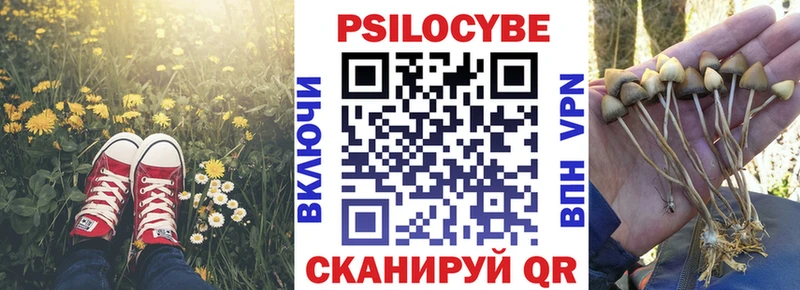 Псилоцибиновые грибы прущие грибы  Исилькуль 